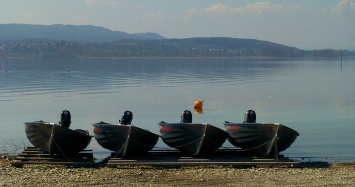Cuatro pequeñas embarcaciones de alquiler con motor fueraborda, varadas sobre palés en la orilla de un lago