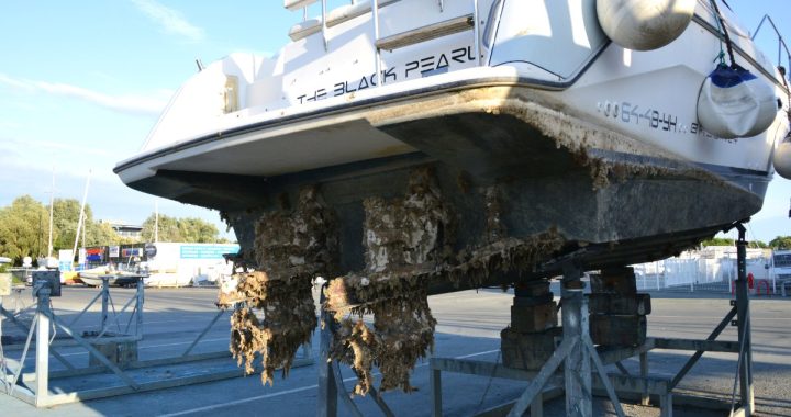 Lancha motora varada sobre puntales con la obra viva y los motores fueraborda cubiertos de incrustaciones de algas y moluscos