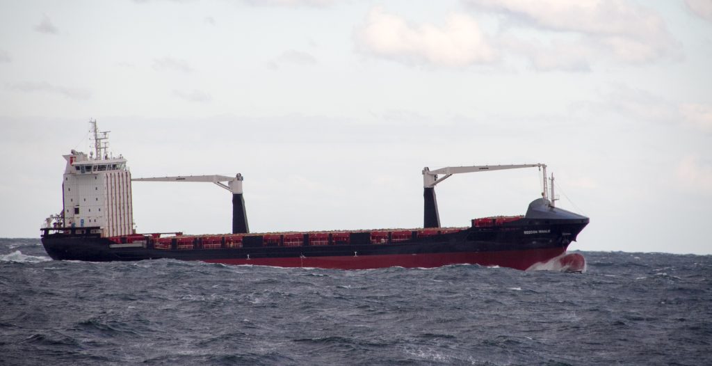 El portacontenedores Reecon Whale navega por el mar Negro cerca de Constanța en 2016 (imagen de archivo; no es el Khoryv)