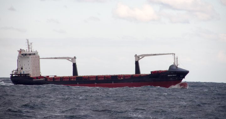 El portacontenedores Reecon Whale navega por el mar Negro cerca de Constanța en 2016 (imagen de archivo; no es el Khoryv)