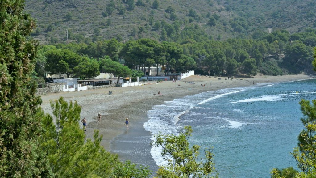 Cala Montjoi, en el Parc Natural de Cap de Creus, con su playa y las aguas de la bahía rodeadas de pinar