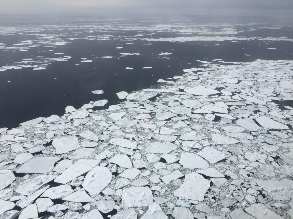 Témpanos de hielo marino fragmentados flotando en el mar, fotografiados desde un avión de la NASA