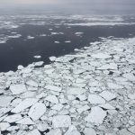 Témpanos de hielo marino fragmentados flotando en el mar, fotografiados desde un avión de la NASA
