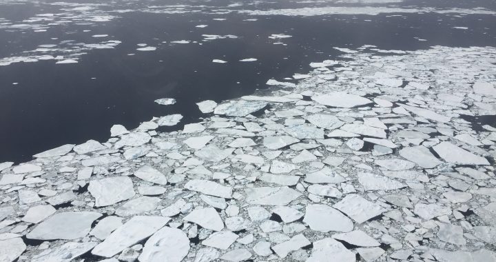 Témpanos de hielo marino fragmentados flotando en el mar, fotografiados desde un avión de la NASA