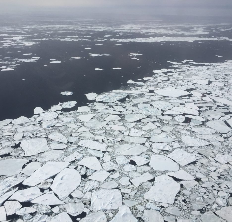 Témpanos de hielo marino fragmentados flotando en el mar, fotografiados desde un avión de la NASA