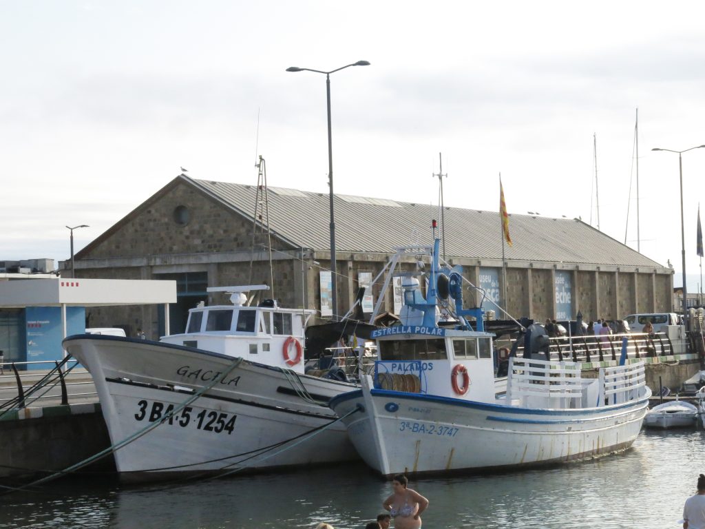 Barcas amarradas en el puerto pesquero de Palamós con el edificio del Museu de la Pesca al fondo