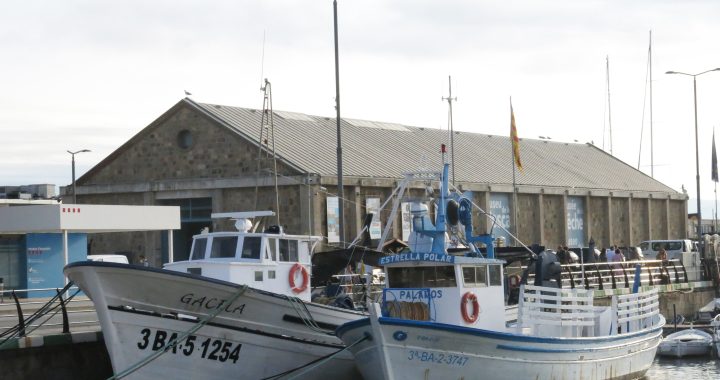 Barcas amarradas en el puerto pesquero de Palamós con el edificio del Museu de la Pesca al fondo