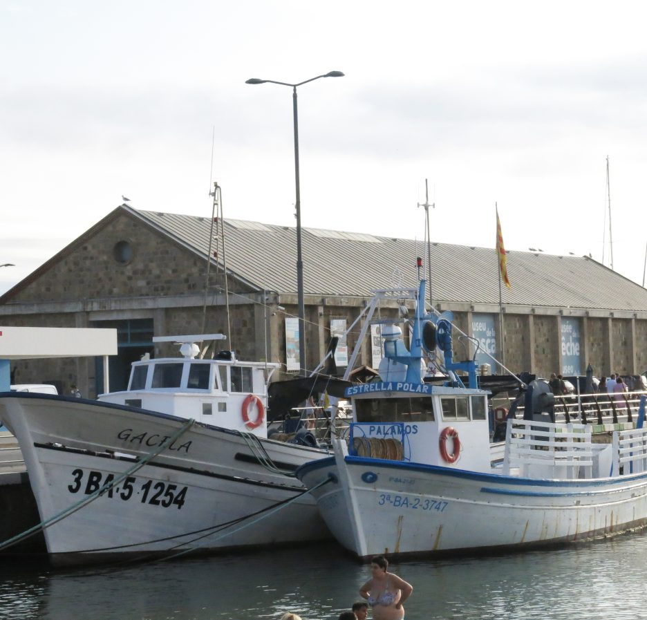 Barcas amarradas en el puerto pesquero de Palamós con el edificio del Museu de la Pesca al fondo