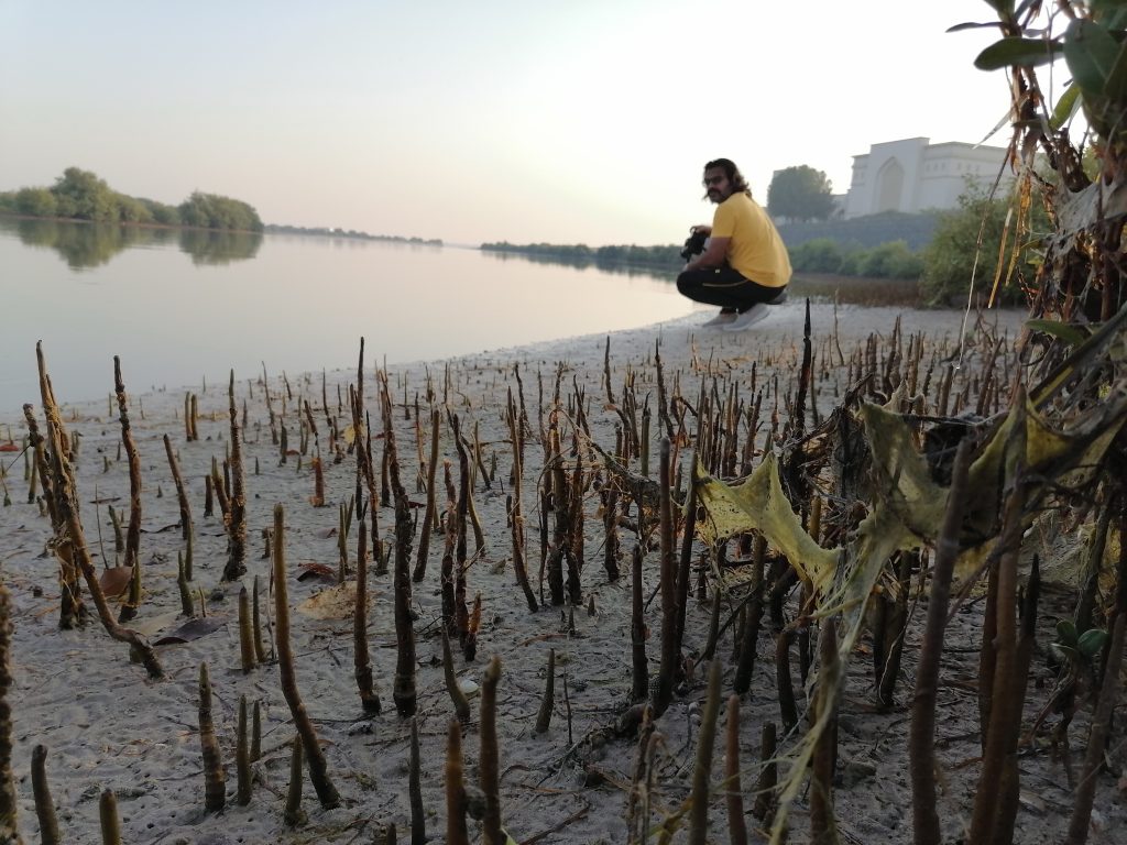 Foto de archivo de los manglares de la costa de Umm al Quwain, en los Emiratos Árabes Unidos, tomada en 2021