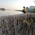 Foto de archivo de los manglares de la costa de Umm al Quwain, en los Emiratos Árabes Unidos, tomada en 2021