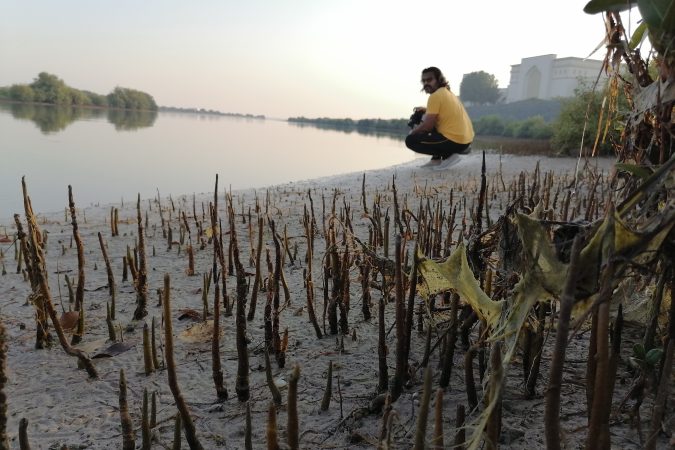 Foto de archivo de los manglares de la costa de Umm al Quwain, en los Emiratos Árabes Unidos, tomada en 2021